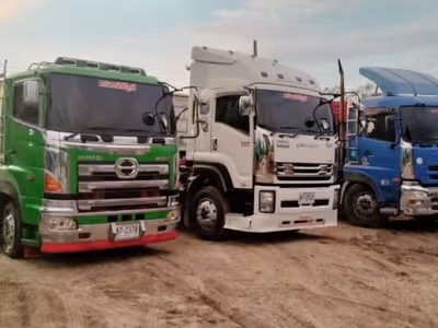 ภาพแกลลอรี่ 7