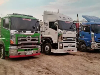 ผลงานนญาแบคโฮ