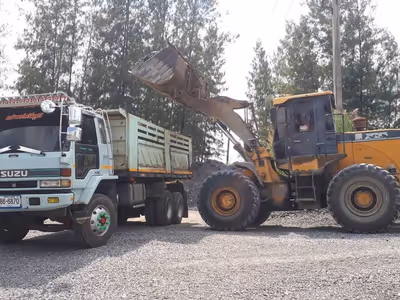 ภาพแกลลอรี่ 8