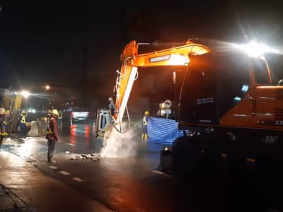 ภาพแกลลอรี่ 11